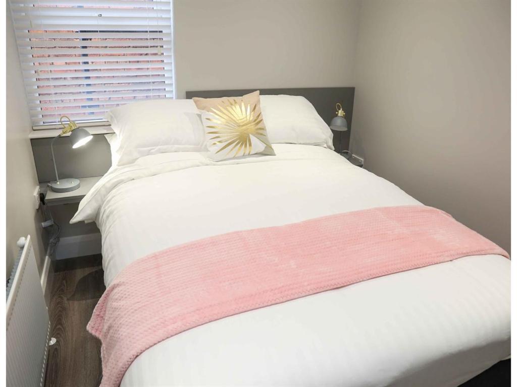Belfast Serviced Apartments - Eglantine Экстерьер фото